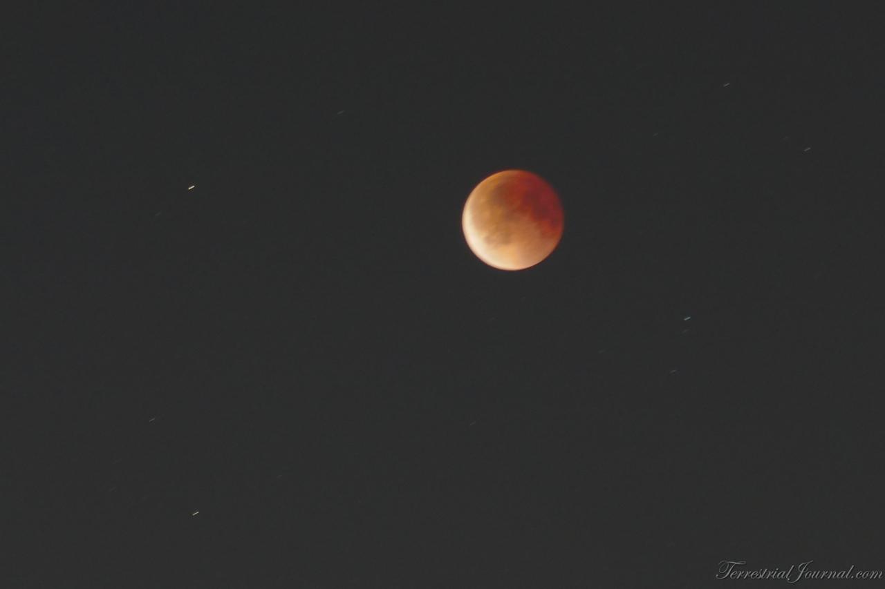 Closer look.