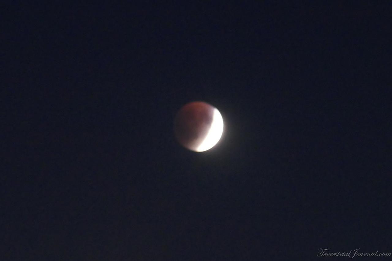 On the way there, I took a quick photo of the beginning of the eclipse.
